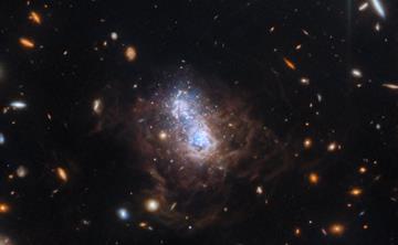 Dwarf galaxy I Zwicky 18 looks like a cluster of blue stars surrounded by brown clouds. A smaller companion galaxy is underneath